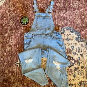 Wild Fable Overalls
